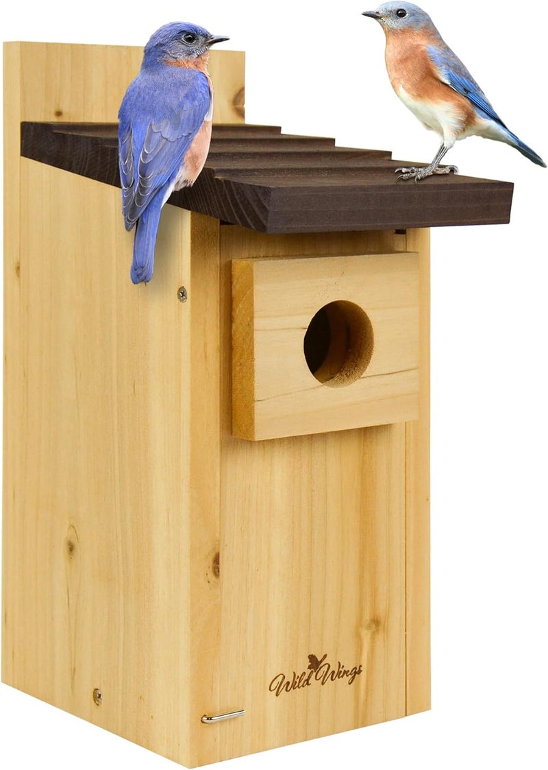 Wild Wings WWCH3 Cedar Blue Bird Box House - Image 1